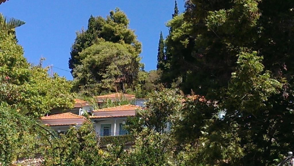 Sofia Holiday Studios — Hotel in Skopelos