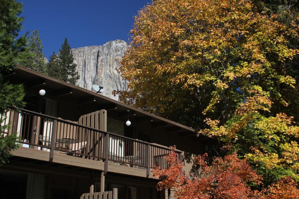 Yosemite Valley Lodge photo