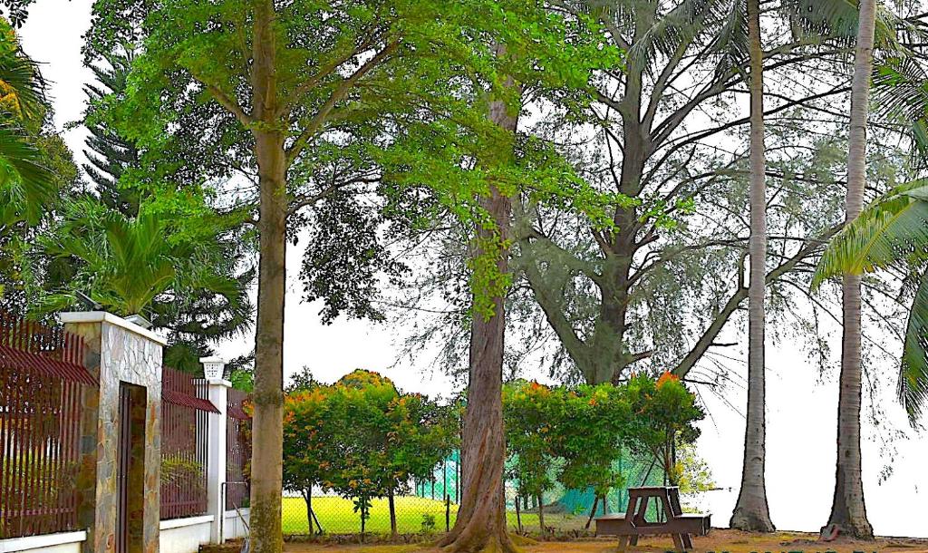 Facilities