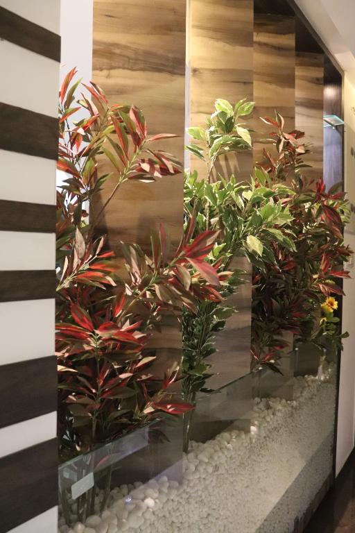 Hotel Park Residency photo
