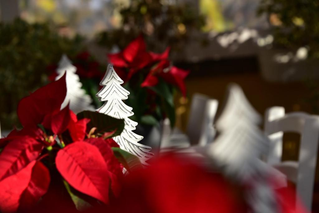 บริการและสิ่งอำนวยความสะดวก