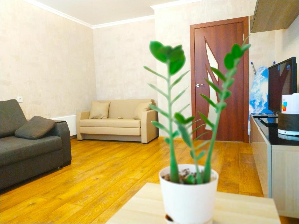Apartments на 7-ом небе