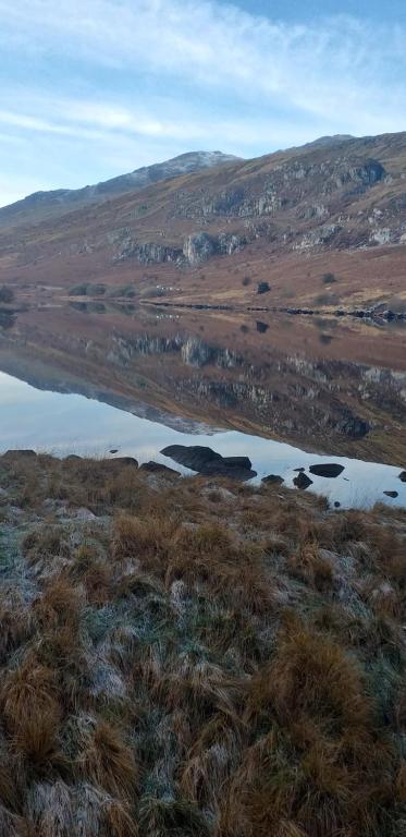 スポーツ/アクティビティ