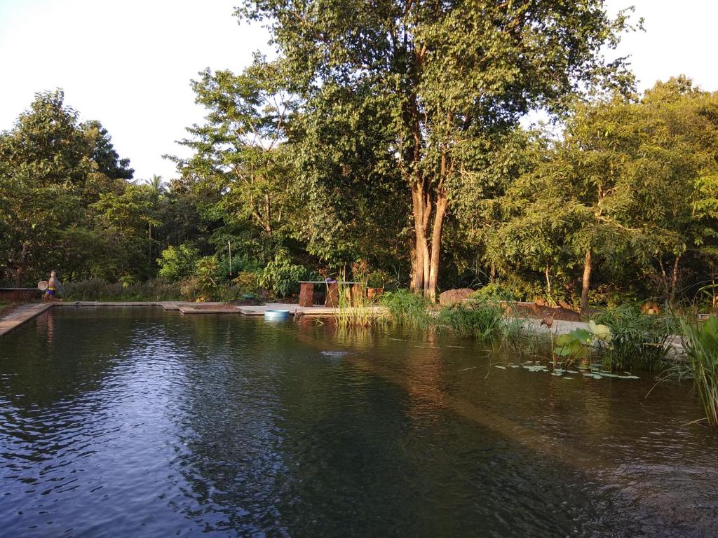 Dudhsagar Plantation photo