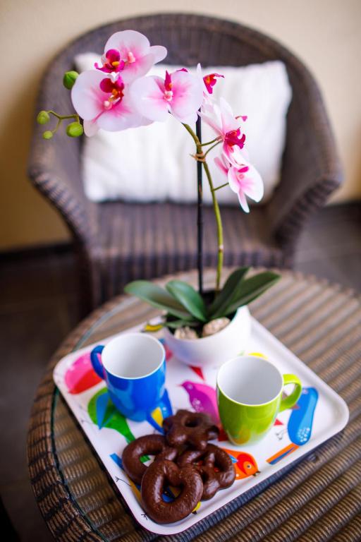 Apartman Niki photo