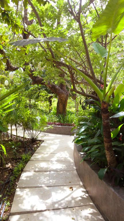 Surrounding environment