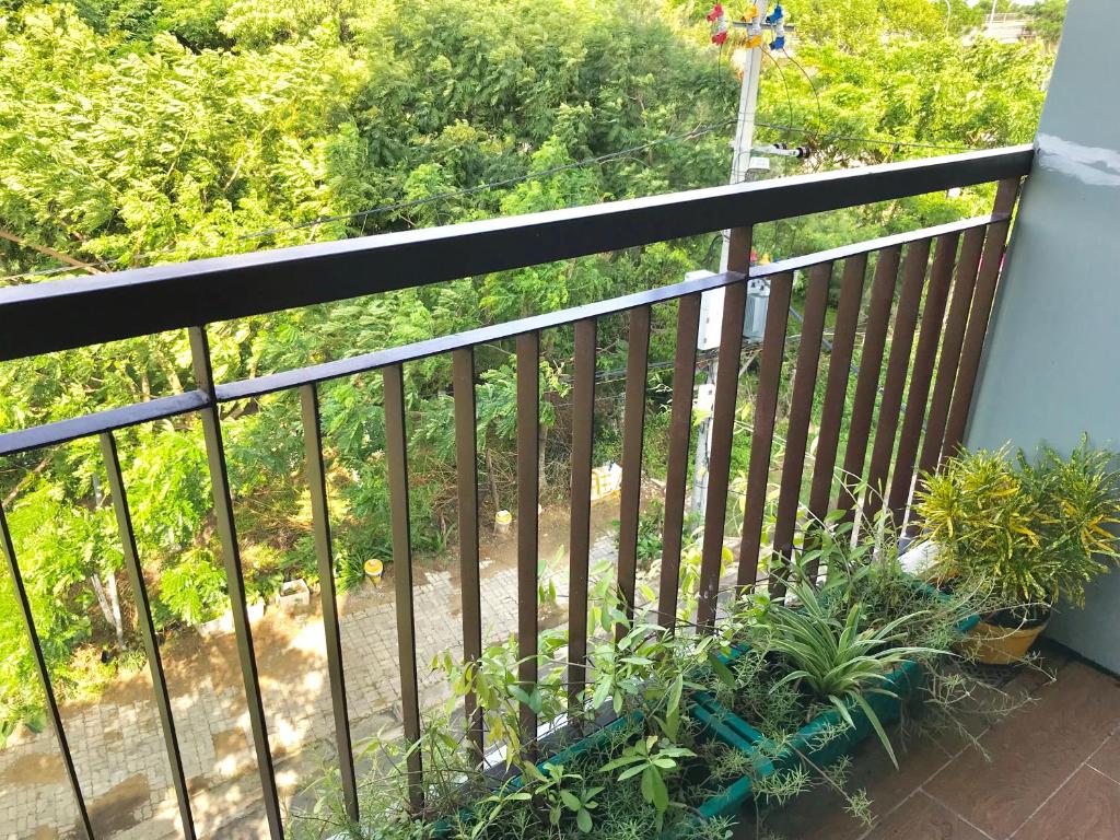 Ly Apartment photo