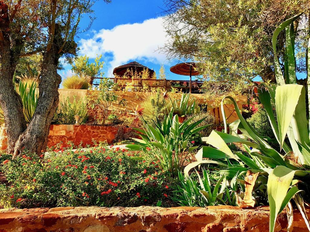 Surrounding environment