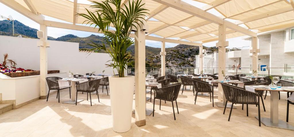 Globales Don Pedro - Adults Only — Restaurant & bars in Puerto Pollensa, Balearic Islands