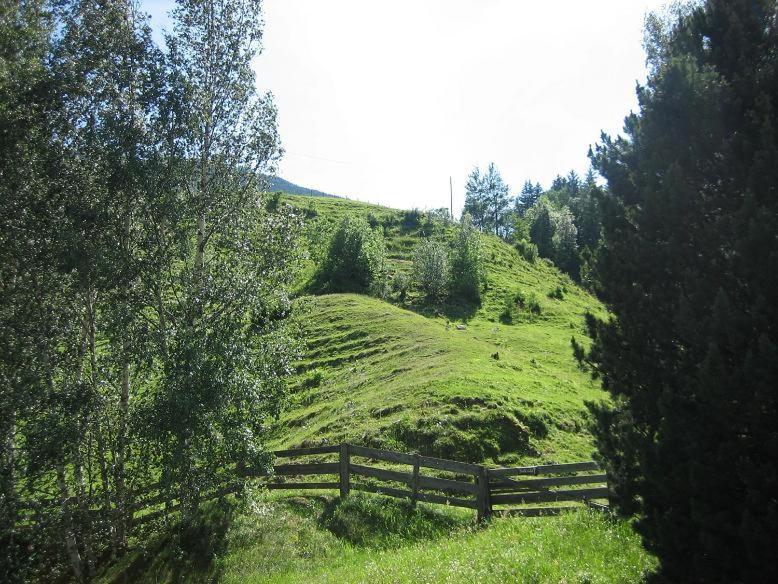 Gästeheim Pötscher - 5
