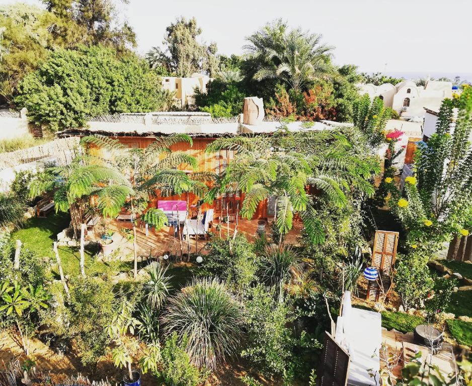 Barefoot in Tunis
