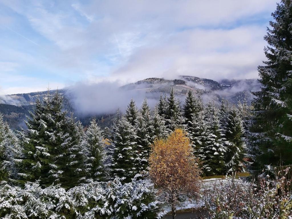 Korlape Apartman 4.2 - 3