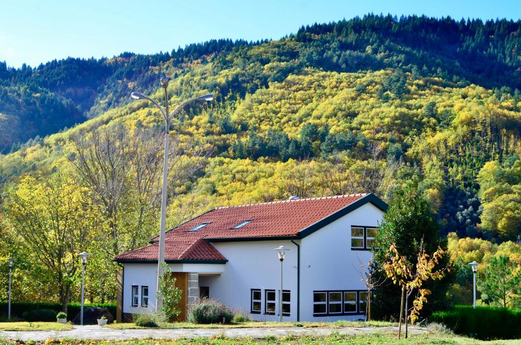 Solar da Castanha - Forest House photo