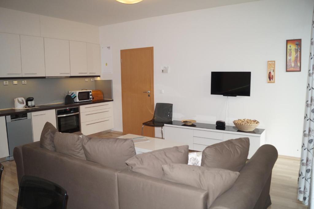 Apartments Klinovec photo