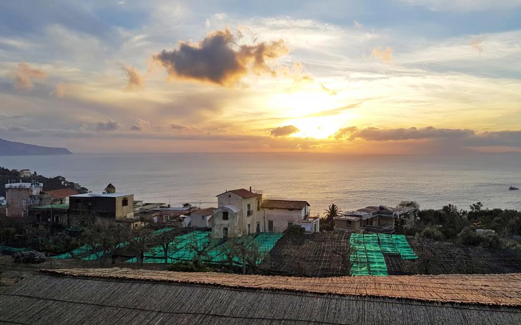 La Ciucciara Holiday Homes photo