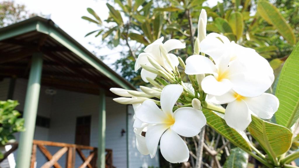 ทัศนียภาพ