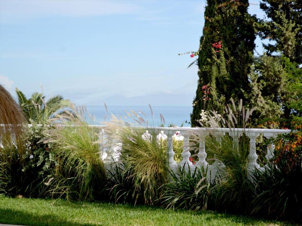 VILLA EDO photo