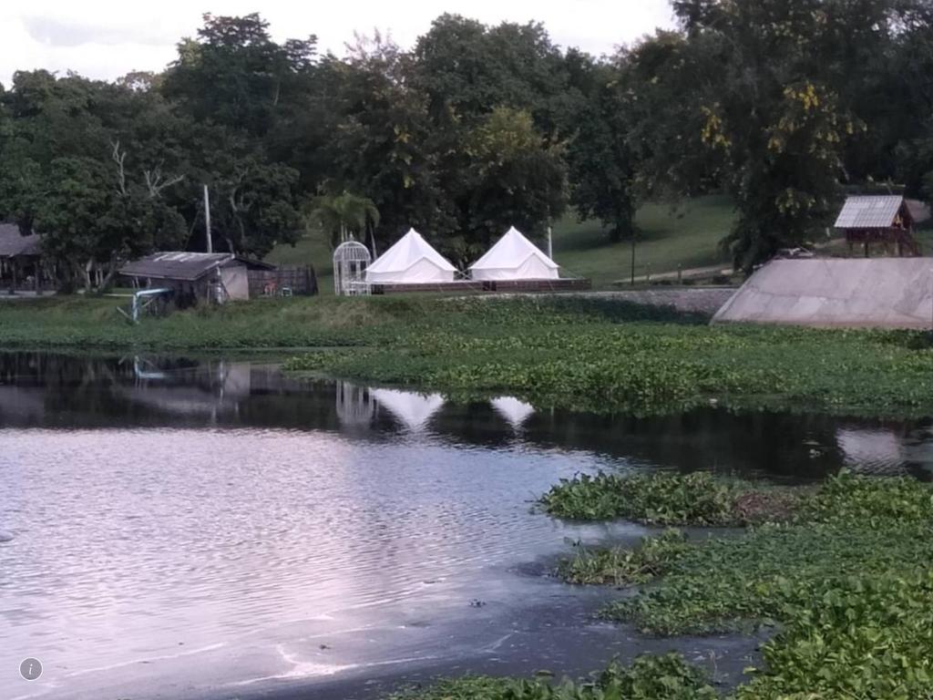 Surrounding environment