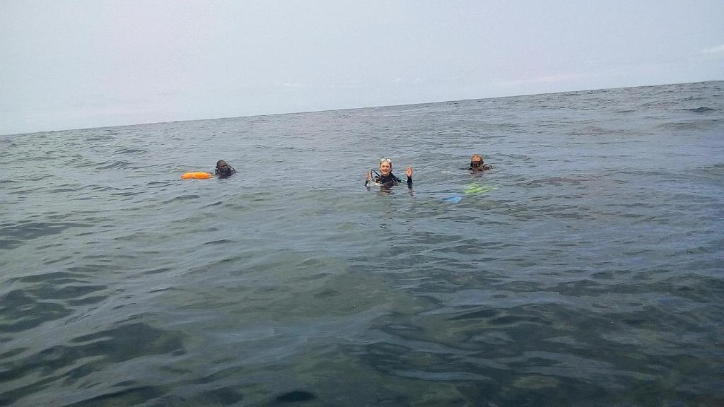 スポーツ/アクティビティ