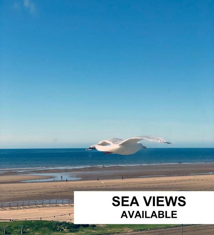 ApartHotel421 by Seafront Collection photo