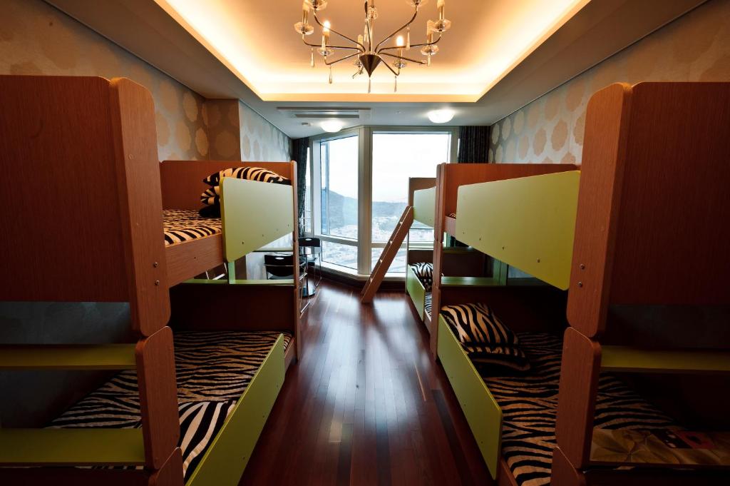 6 床女性宿舍房的 1 個床位