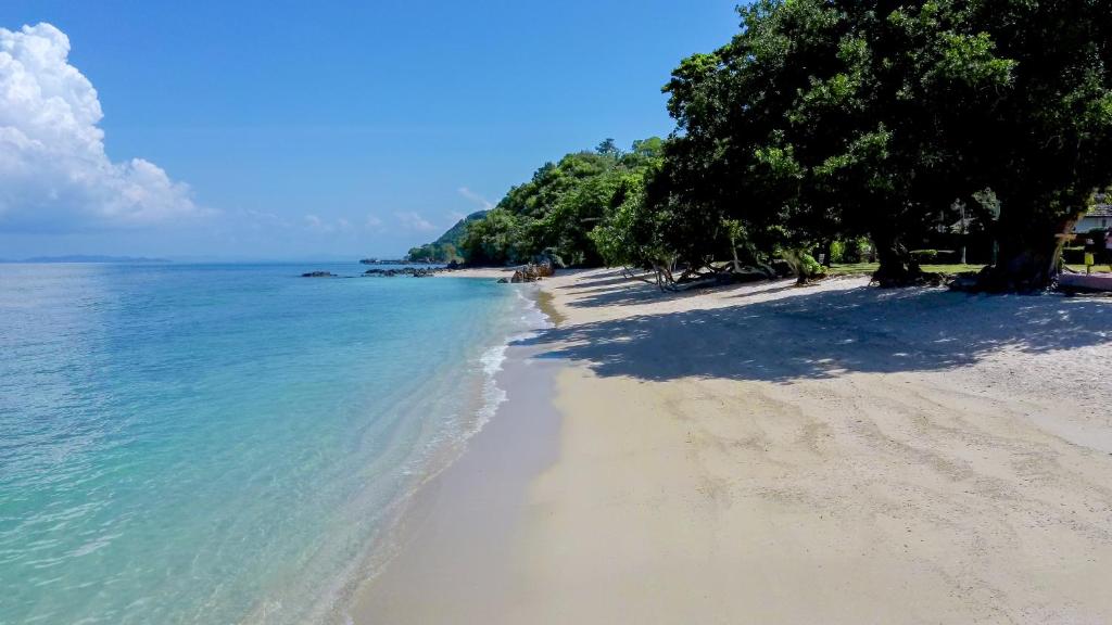 Surrounding environment