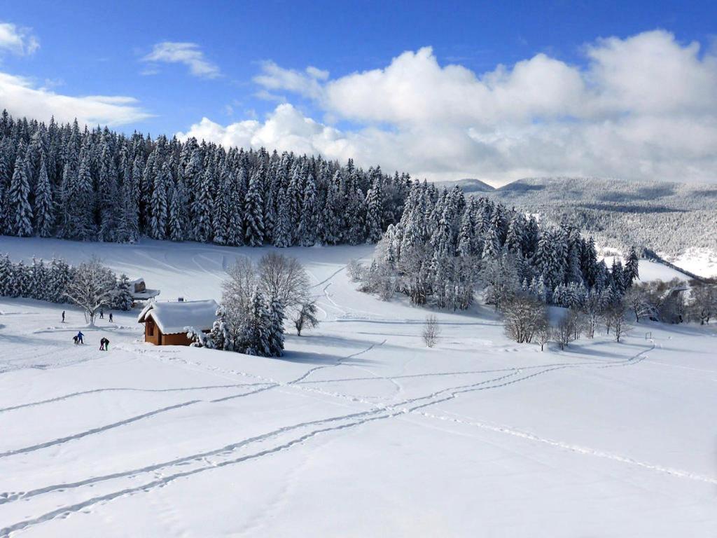 Studio Villard - Les Glovettes - 2