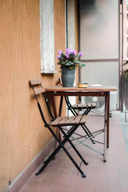 GREENCOVE Milano photo