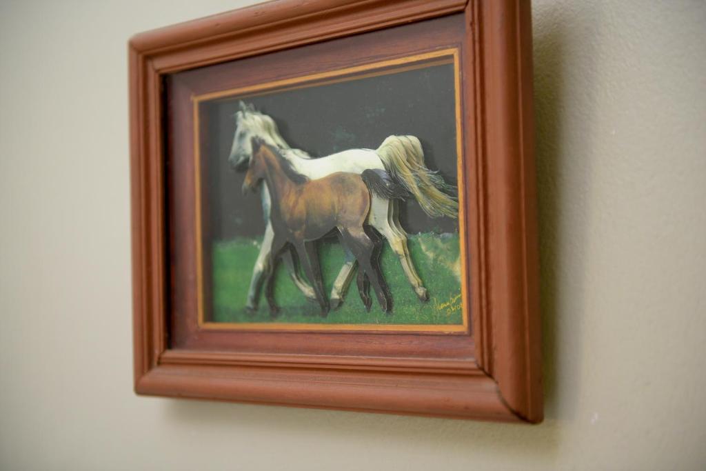 Bernie's Bed & Breakfast photo