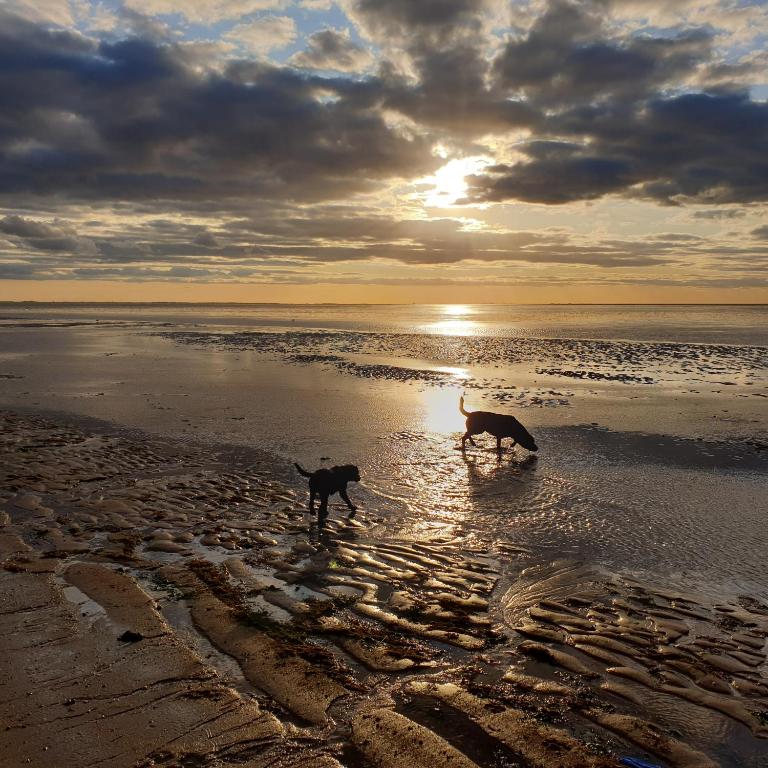 Norfolk Coastal Cottages