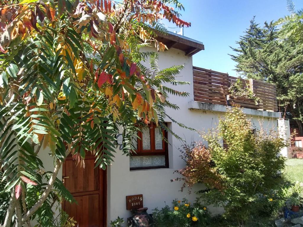 JARDIN y MAR - 2