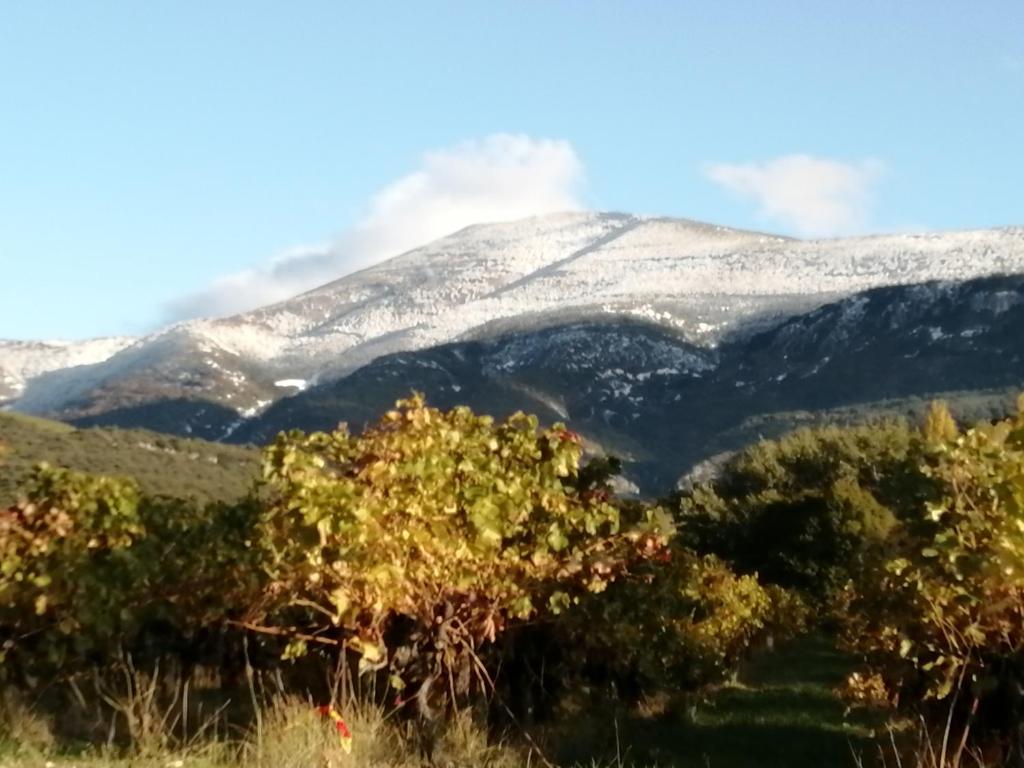 LE PETIT VENTOUX VILLAGE - 5