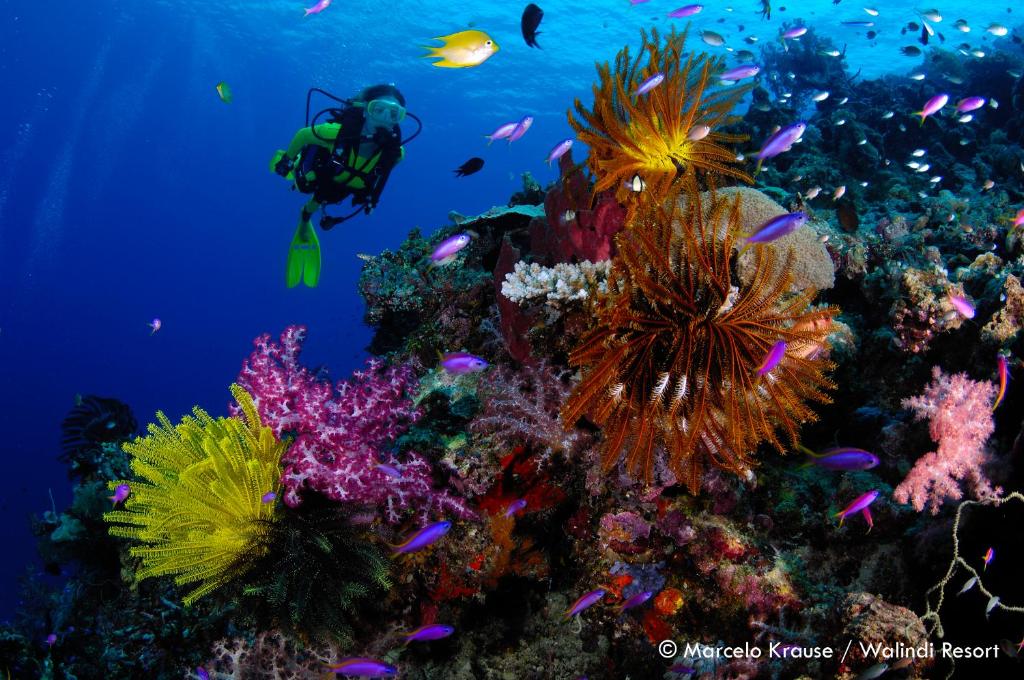 Sports and activities