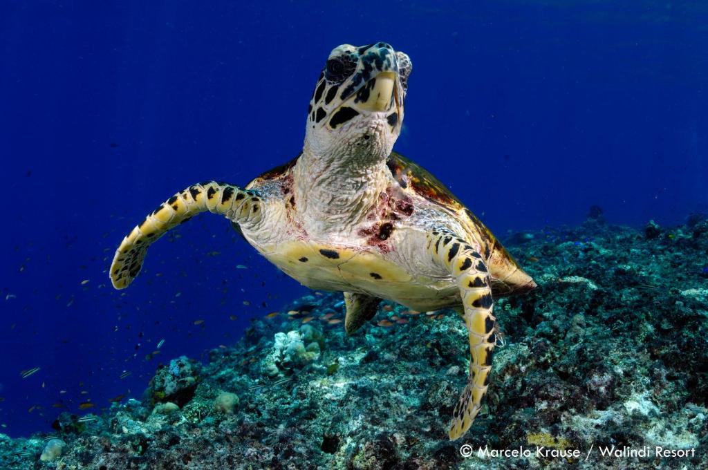 Sports and activities