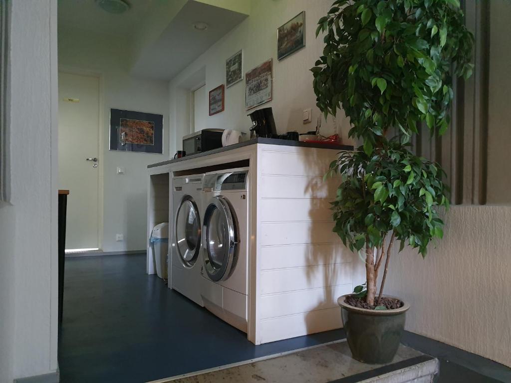 Freedom65 Hostel and Caravan