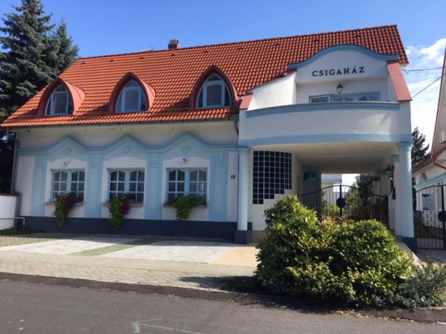 Csigahaz panzio — Hotel in Gyula