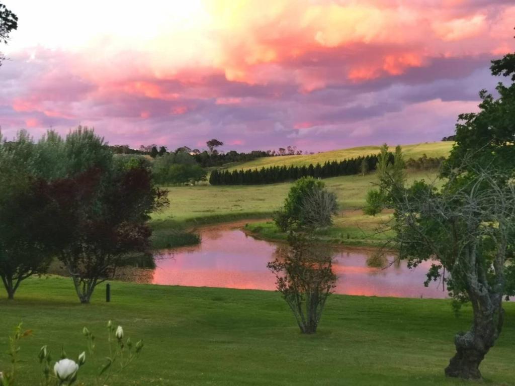 Eling Forest Winery photo