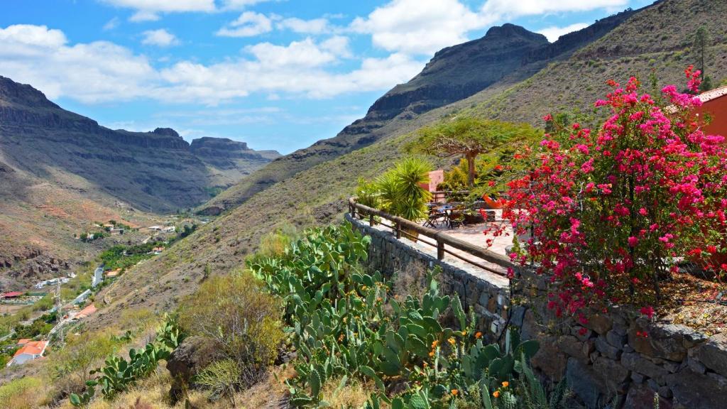 Finca Las Olivas - Unique country house with heated pool - 4