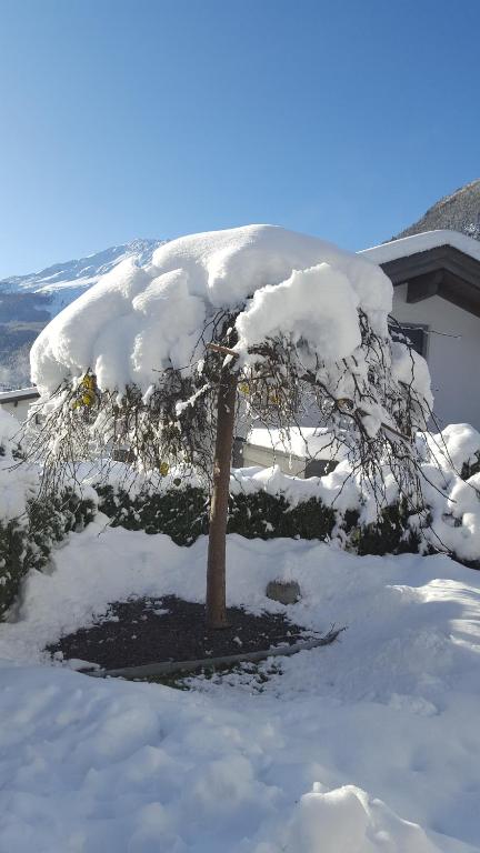 Alpenappartement Sonne - 3