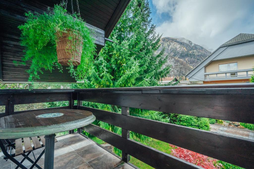 Apartma BOROVC photo