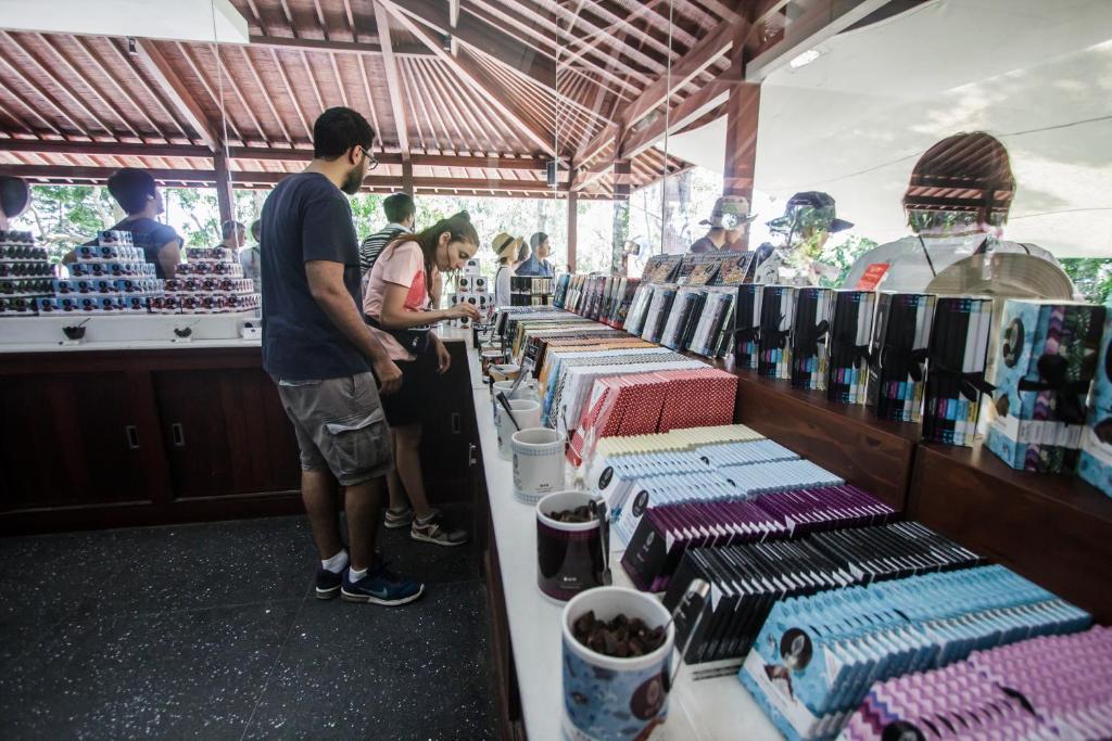 アクティビティ