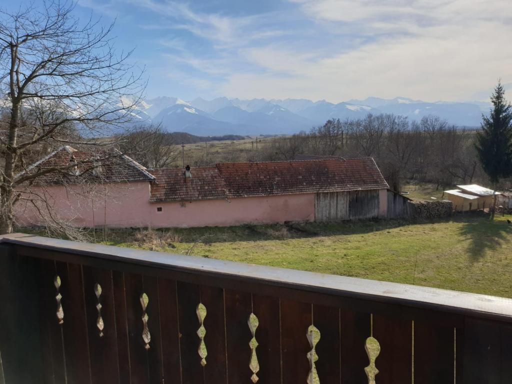 Conacul lui Radu photo