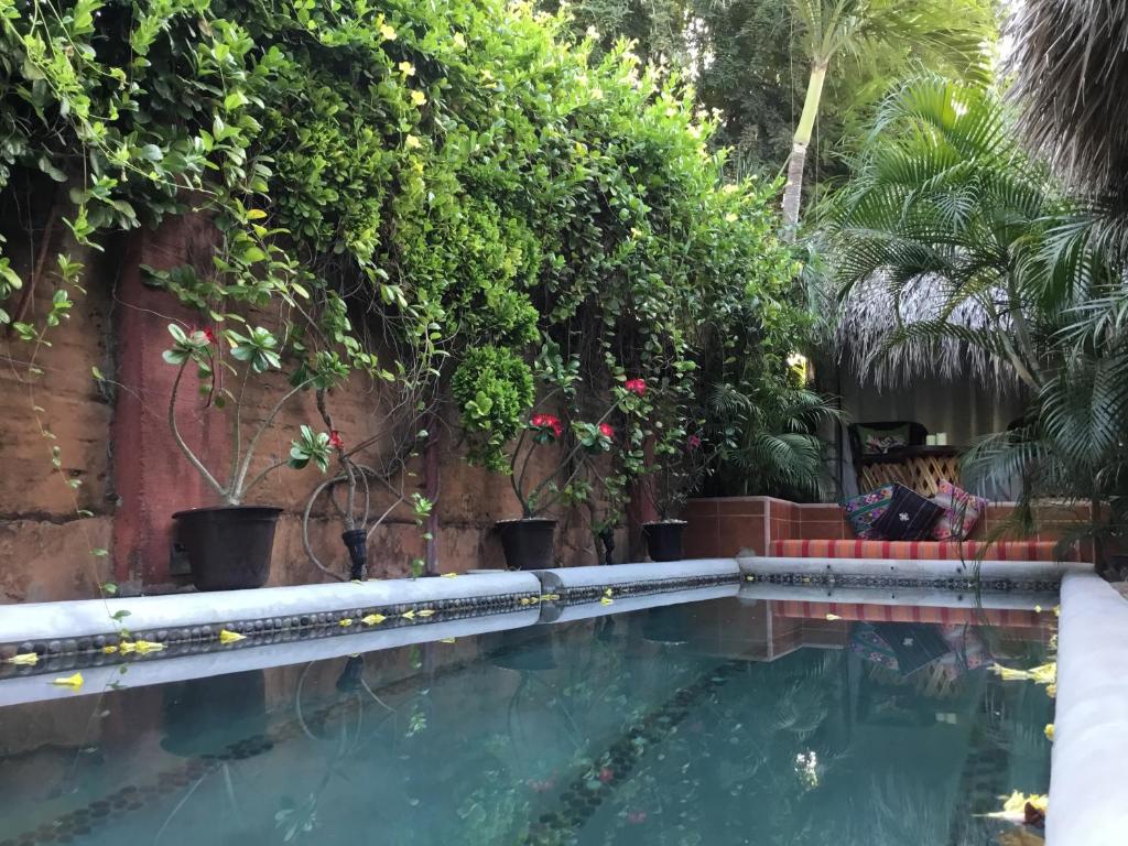 Hacienda La Rusa photo