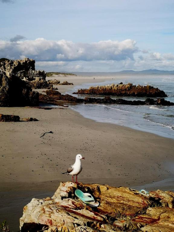 Troon Beach Cottage Hermanus photo
