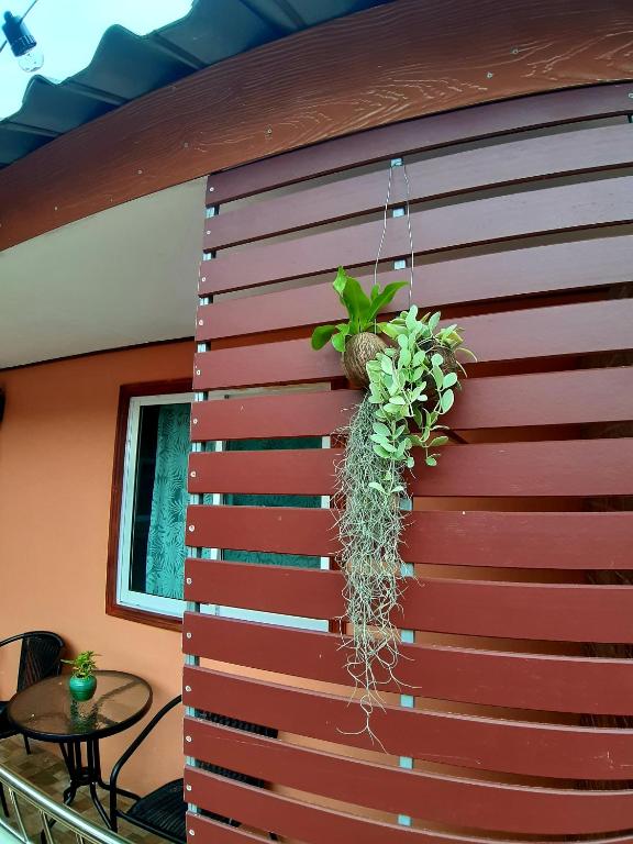The Windsor Boutique Resort photo