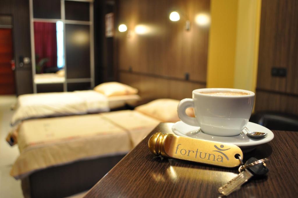 Hotel Fortuna photo