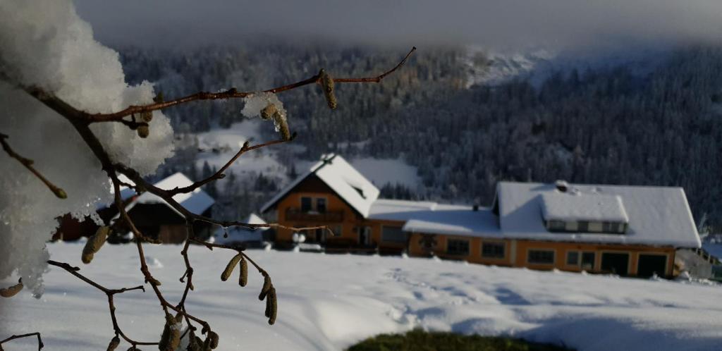 Pension Stieber - 4