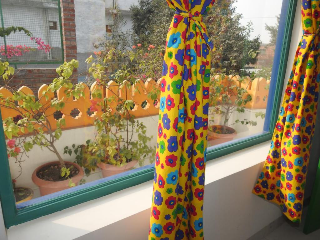 Coral Country Homestay photo