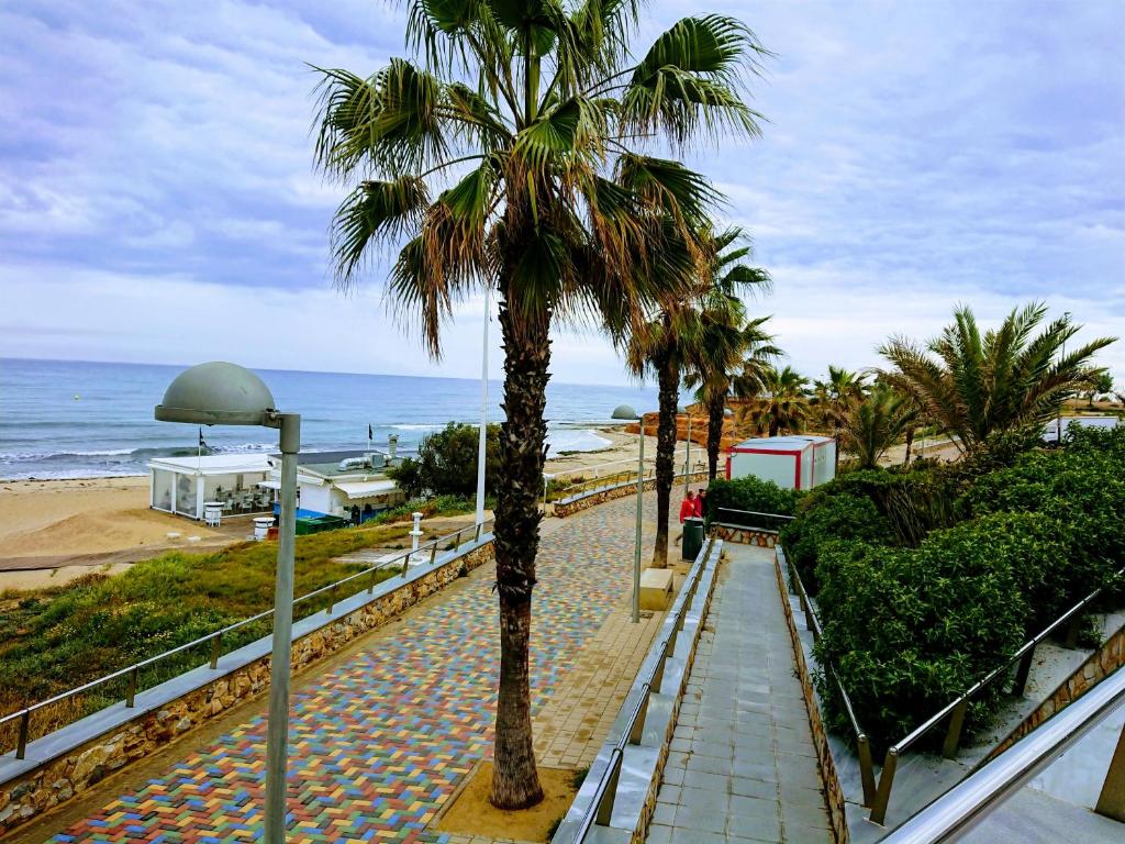 Apartament SENA Playa Flamenca - 1