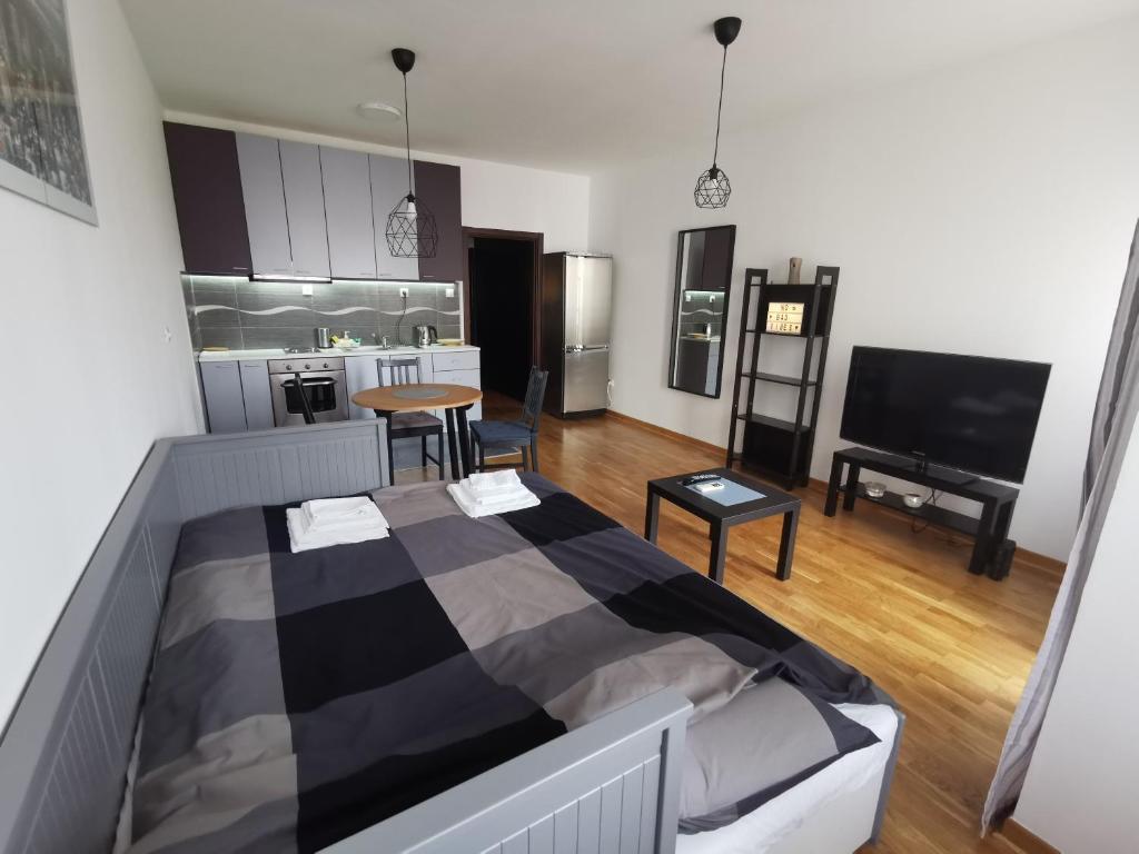 Charlie Aviv Park - 2